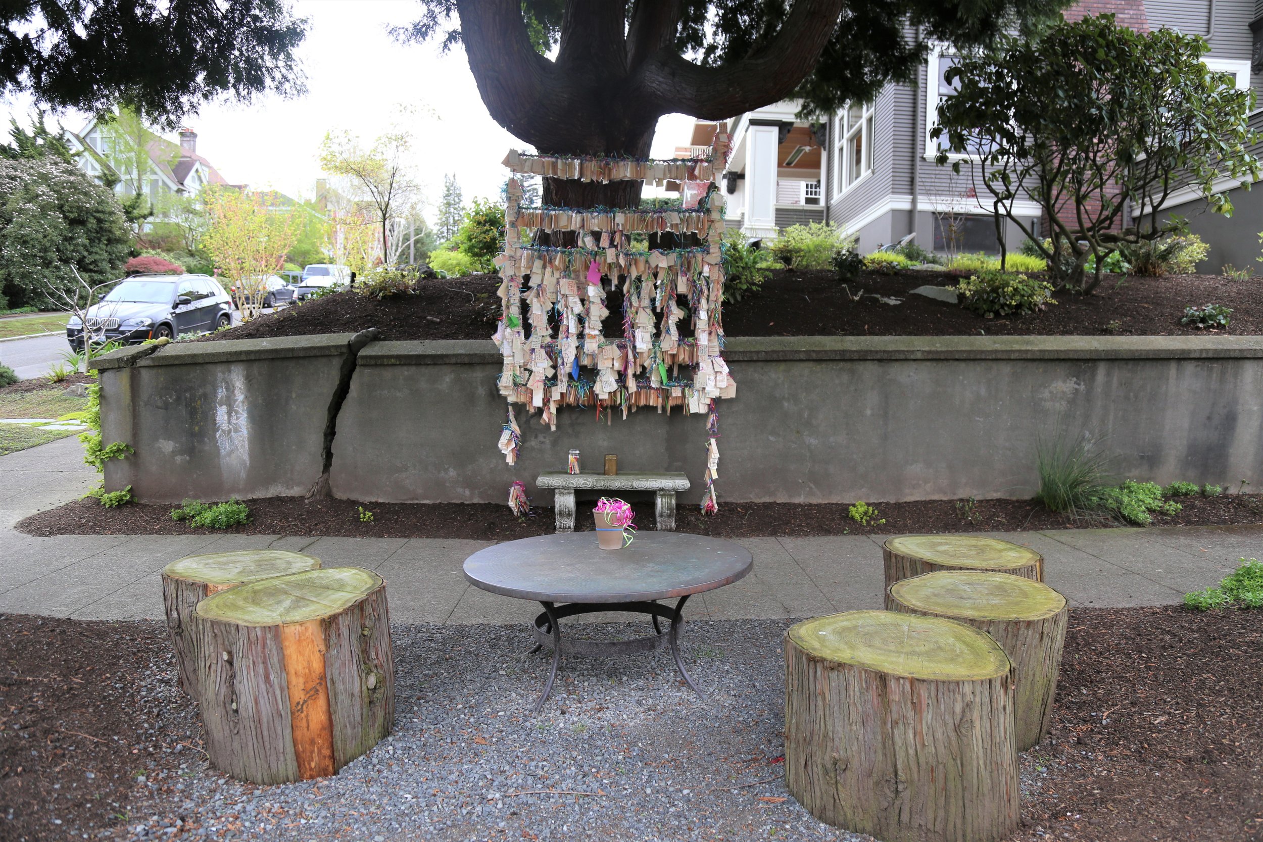 Seattle's Wishing Tree