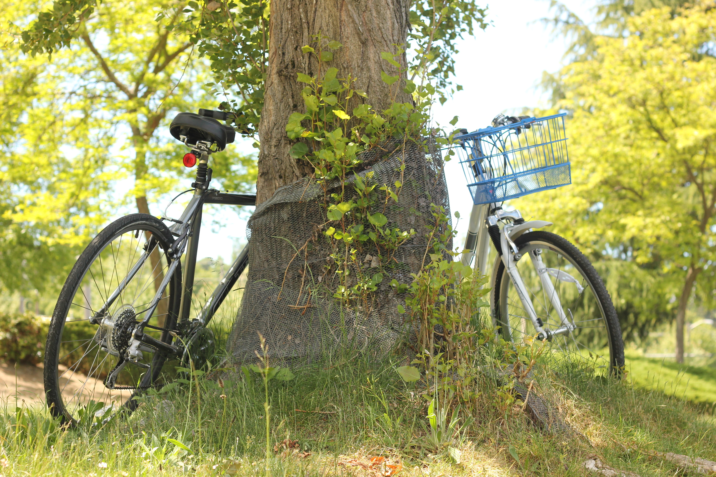 Memorial Day and bikes go together like white on rice.