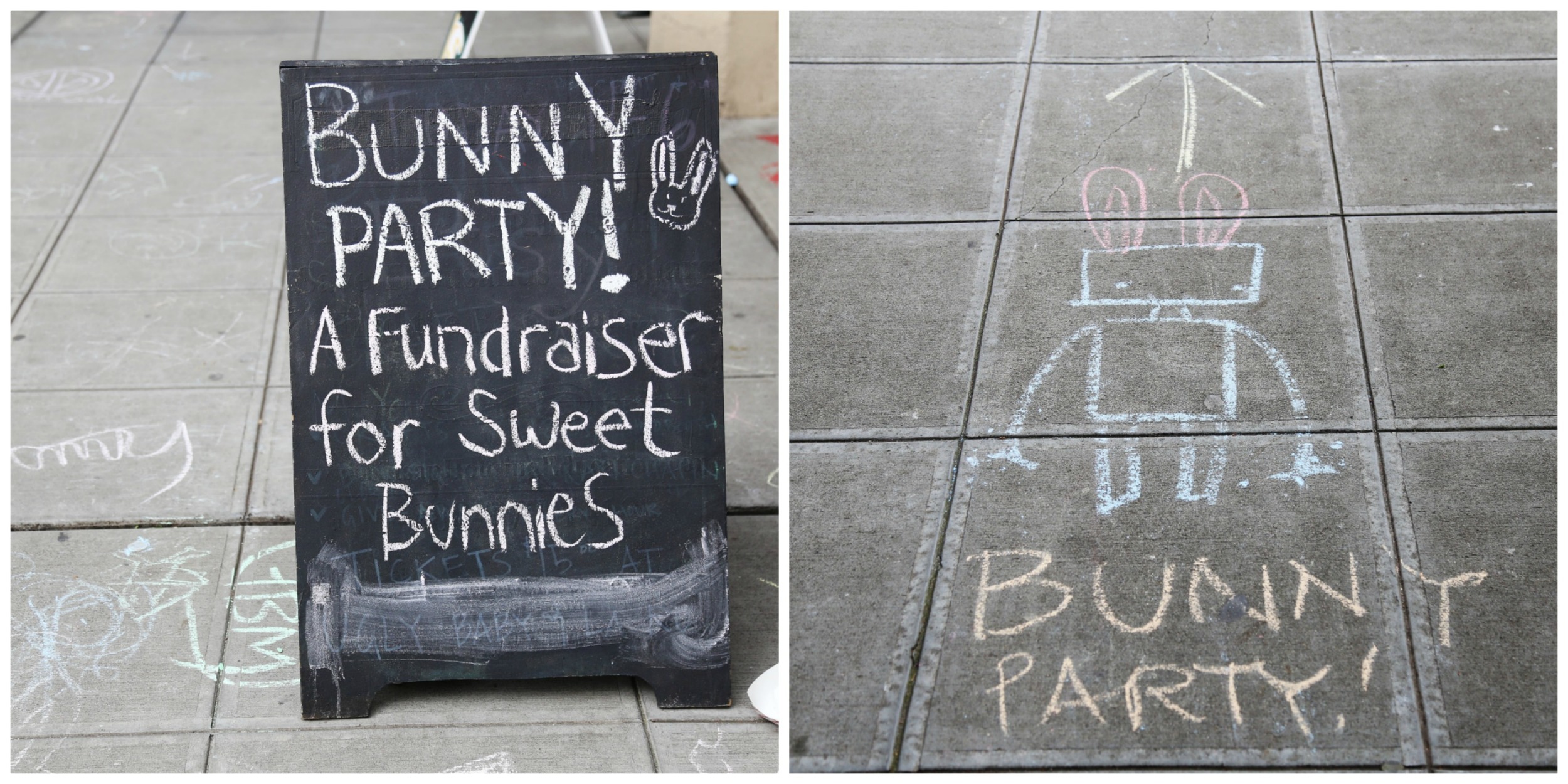 Who doesn't want to go to a bunny party?