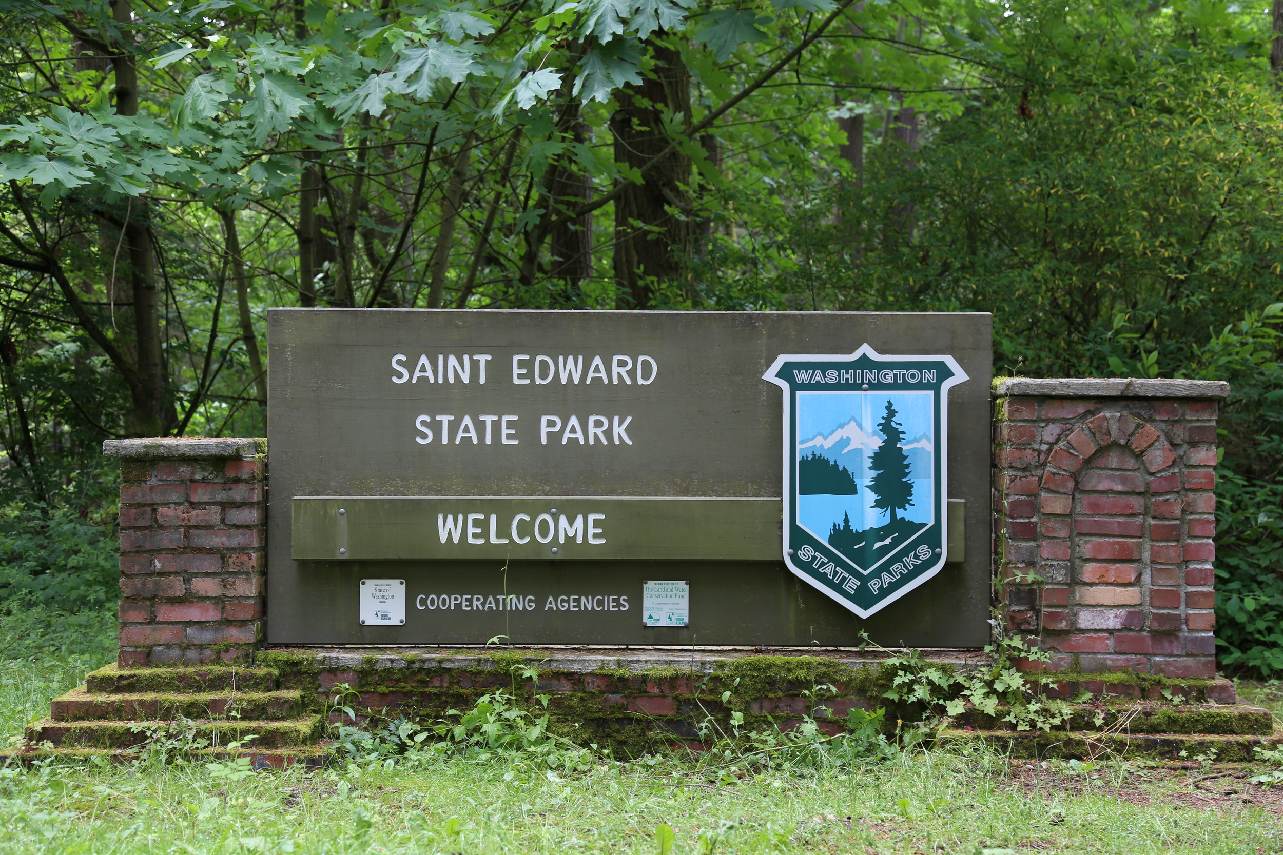 Welcome to Saint Edward Park!