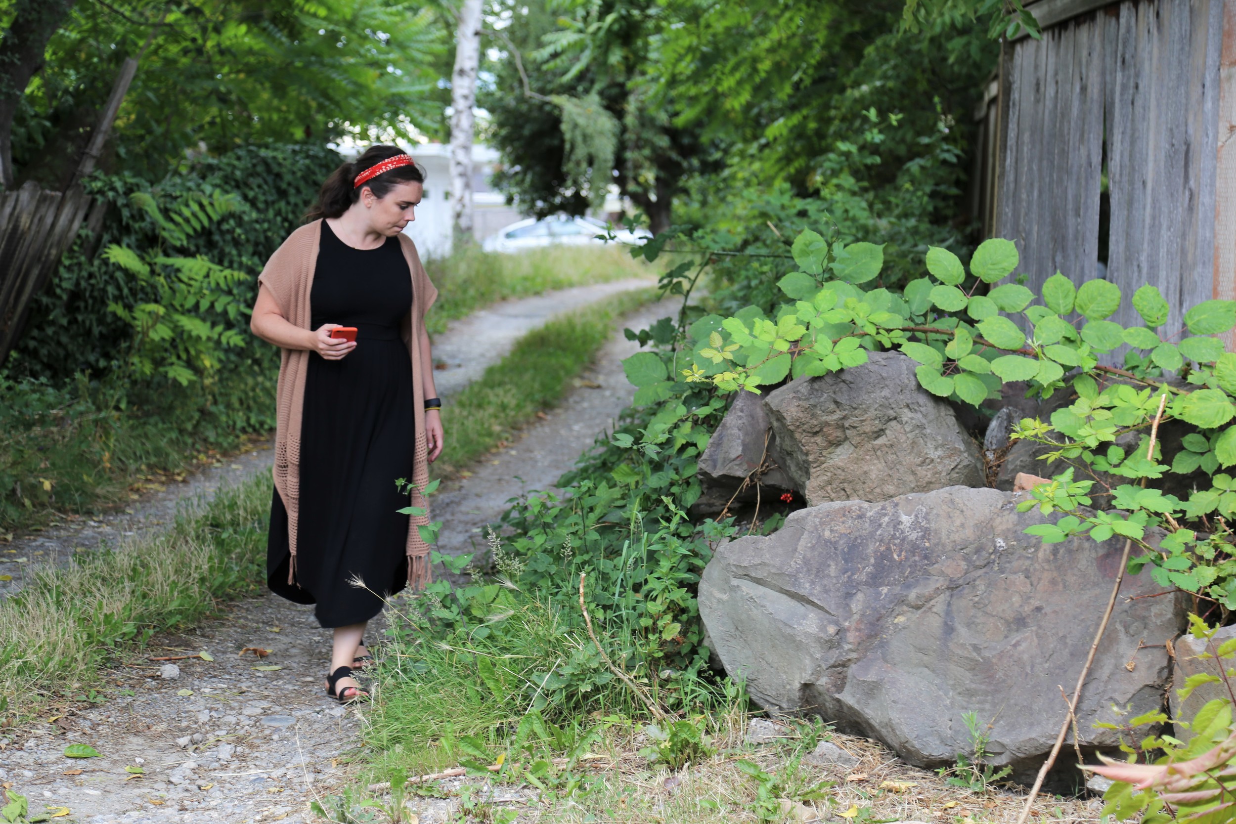 Search high, search low