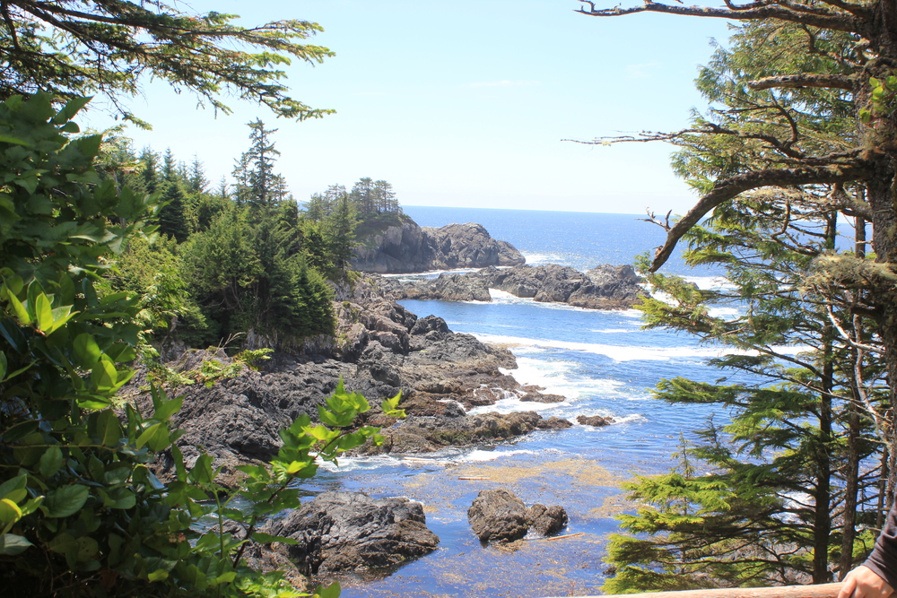 Wild Pacific Trail