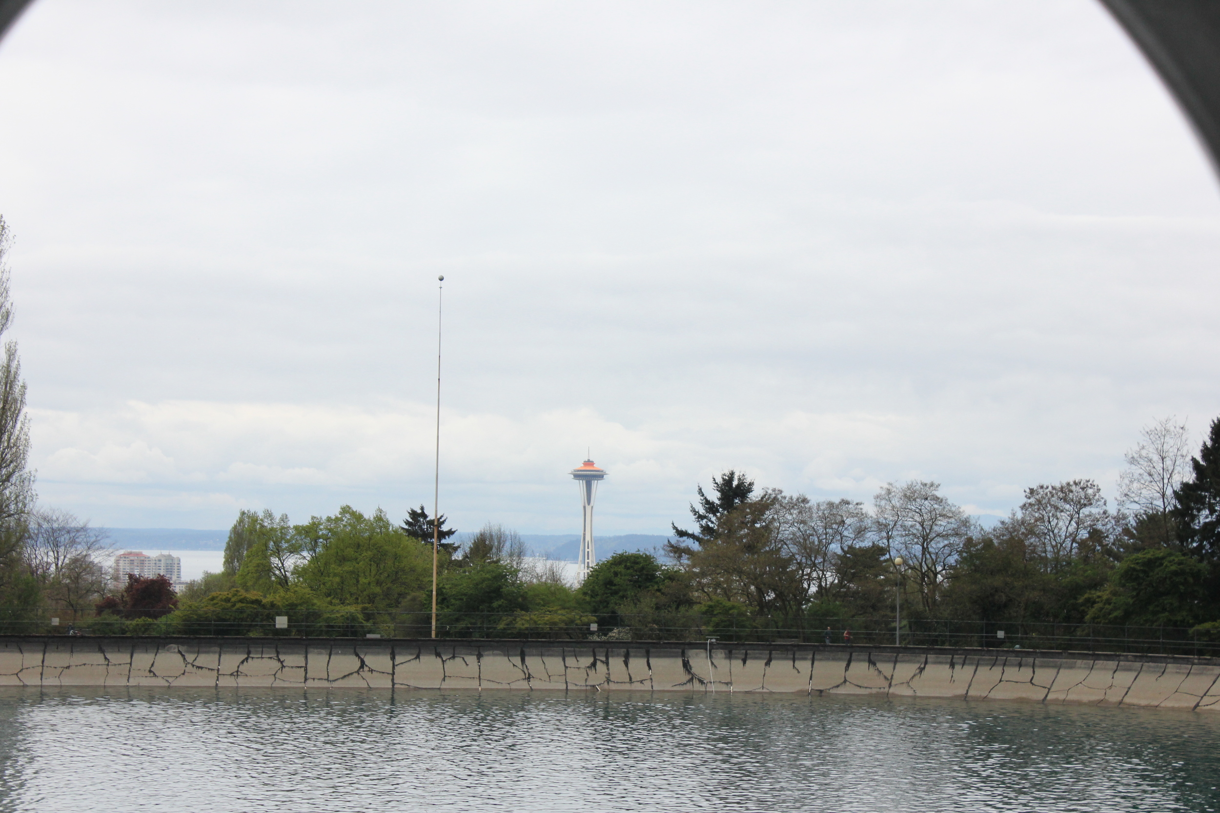 A peek of the space needle