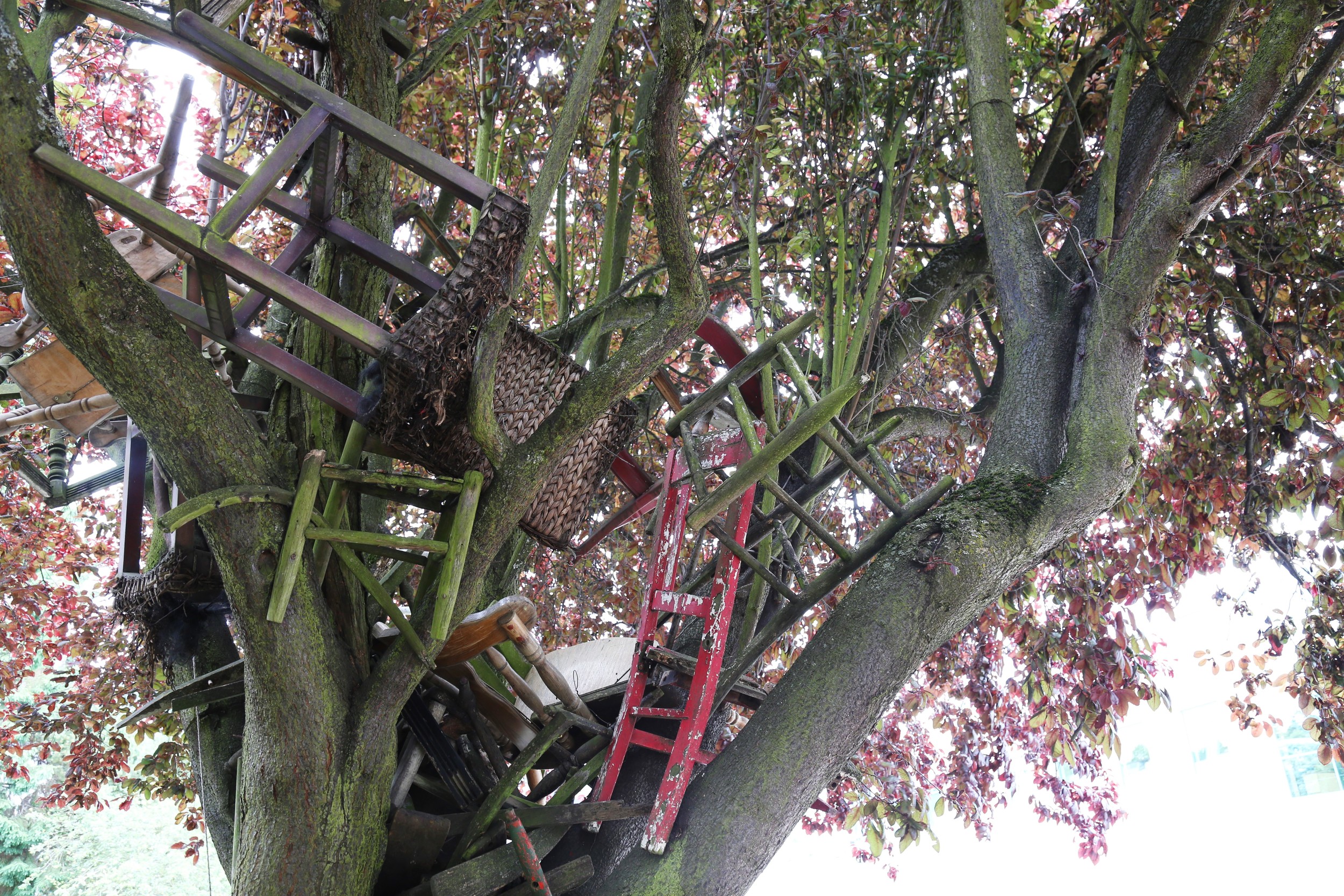 3 Favorite Seattle Geocaches