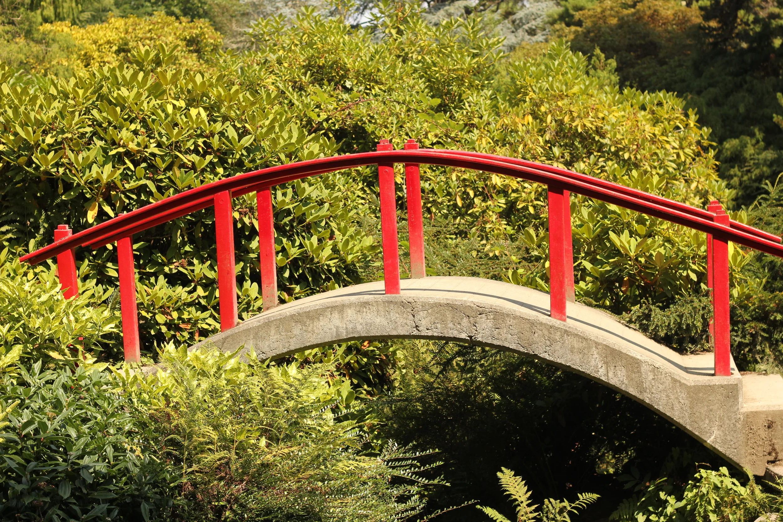 Kubota Garden