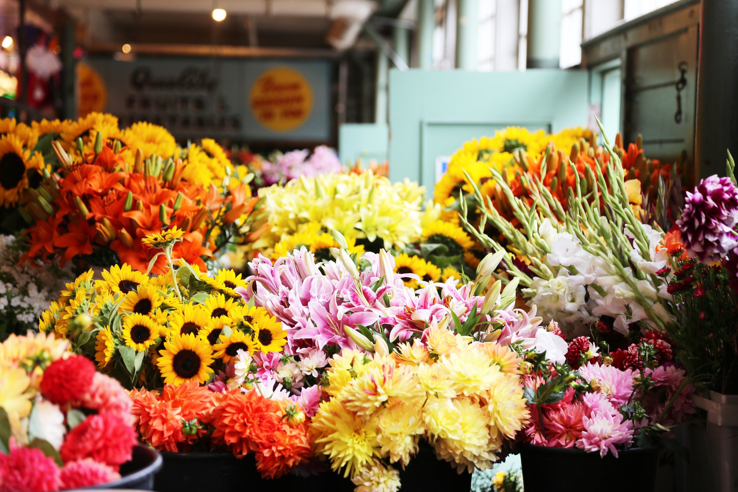 10 Awesome Seattle Dates Under $20 