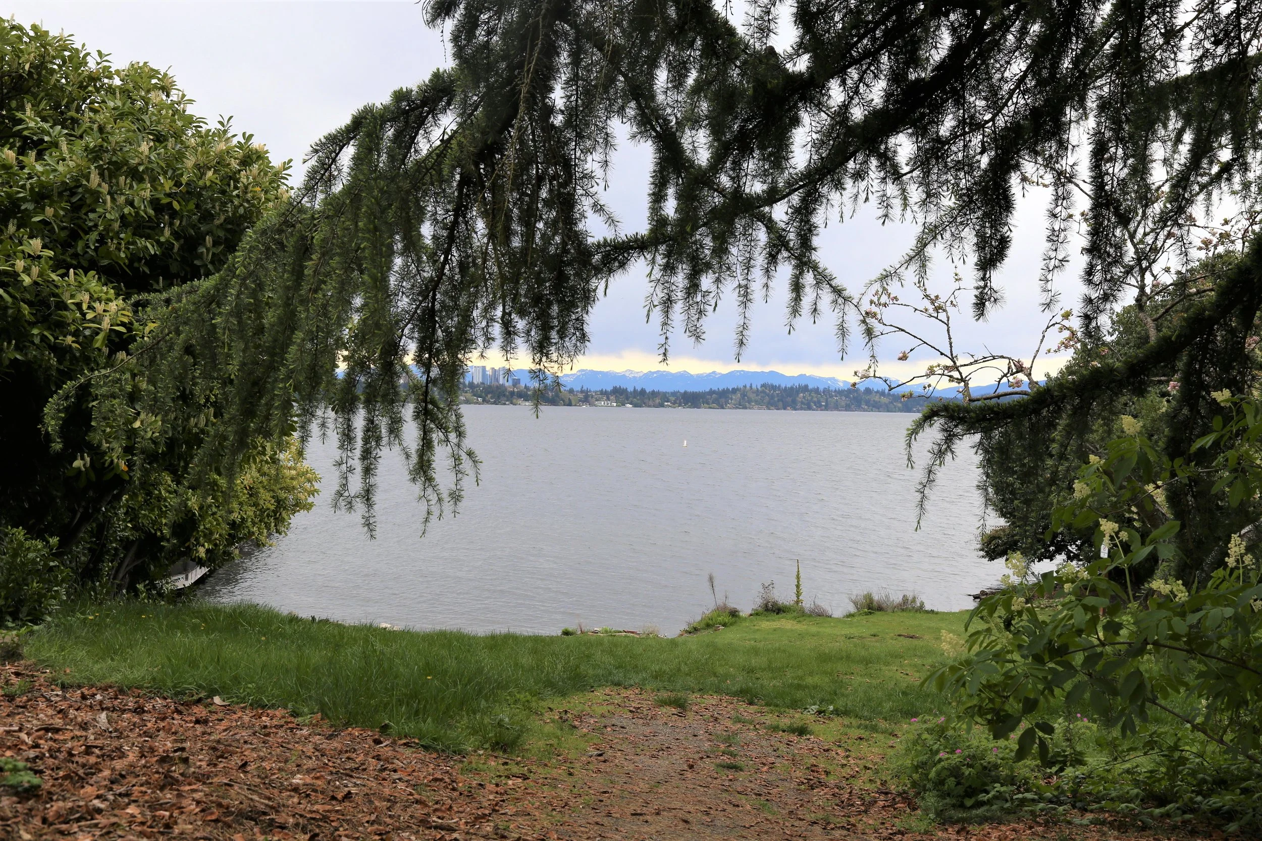 5 Secret Tiny Parks of Seattle