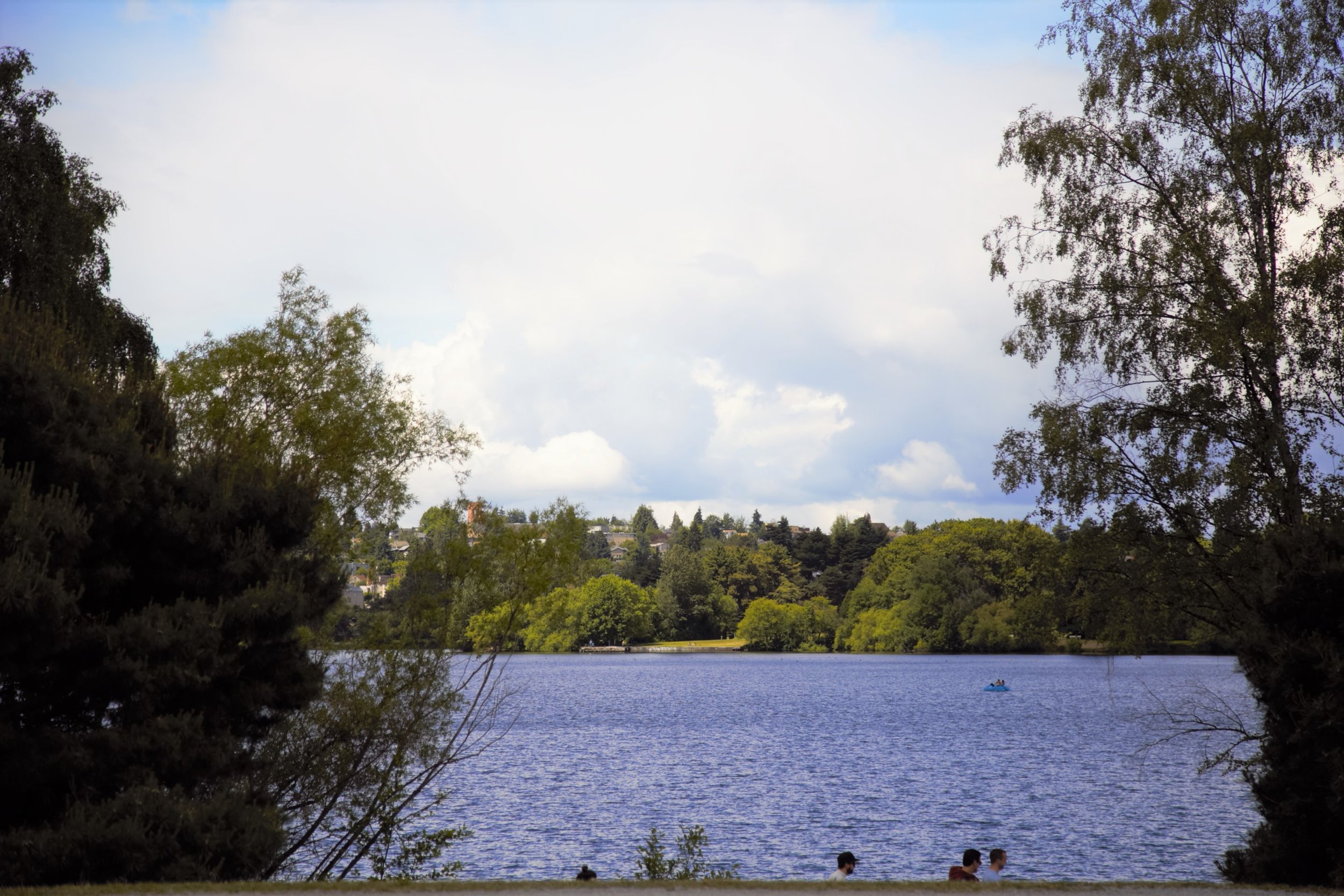 Seattle Neighborhood Guide: Greenlake 