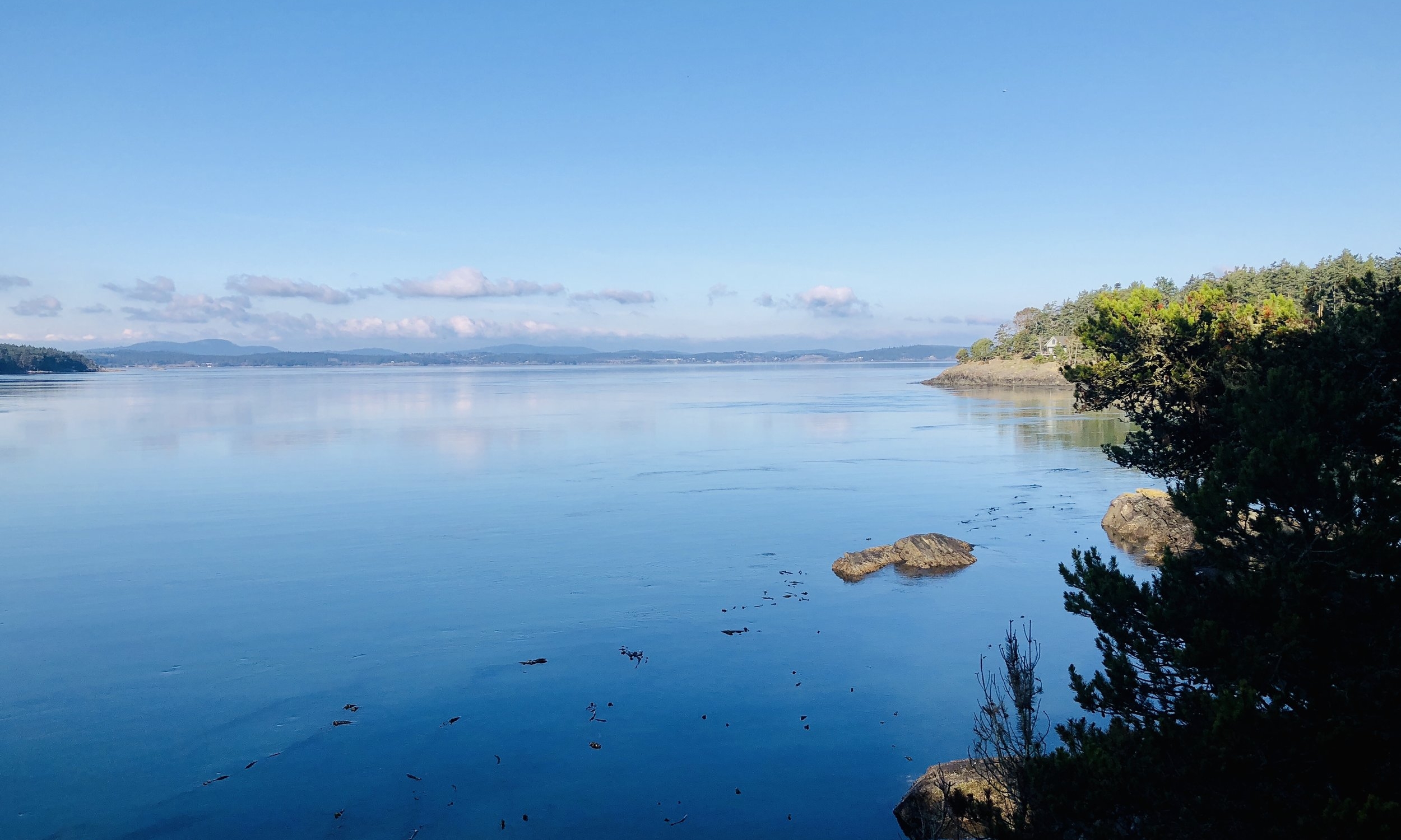 36 Hours on Lopez Island